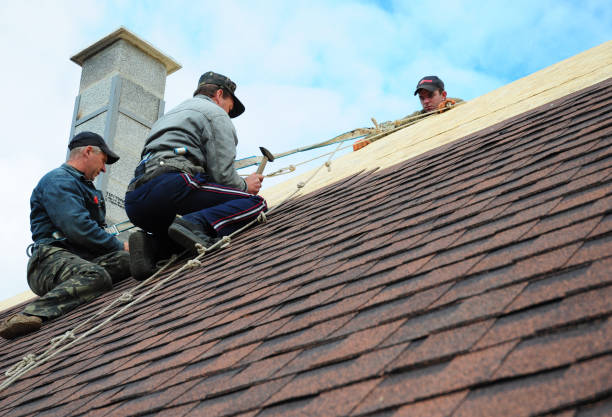 Best Residential Roofing Contractor  in Haubstadt, IN