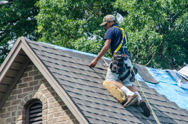 Best Storm Damage Roof Repair  in Haubstadt, IN
